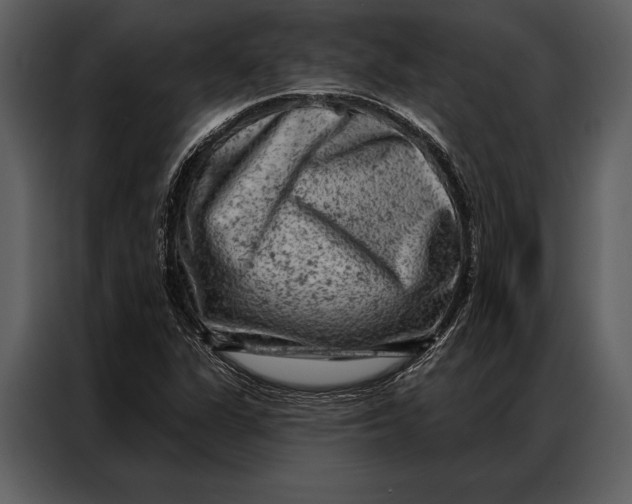 X0000087001311200705071458