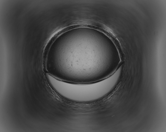 X0000087001312200705071458