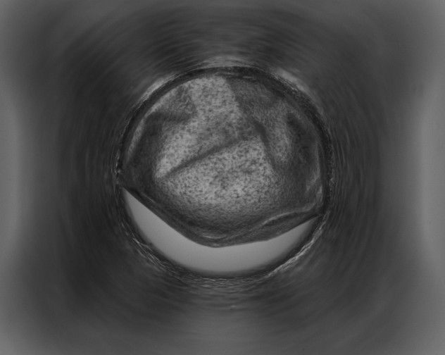 X0000087001313200705071458