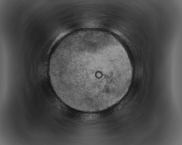 X0000087001314200705071458