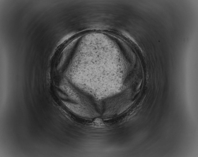 X0000087001315200705071458