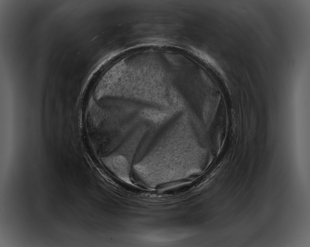 X0000087001318200705071458