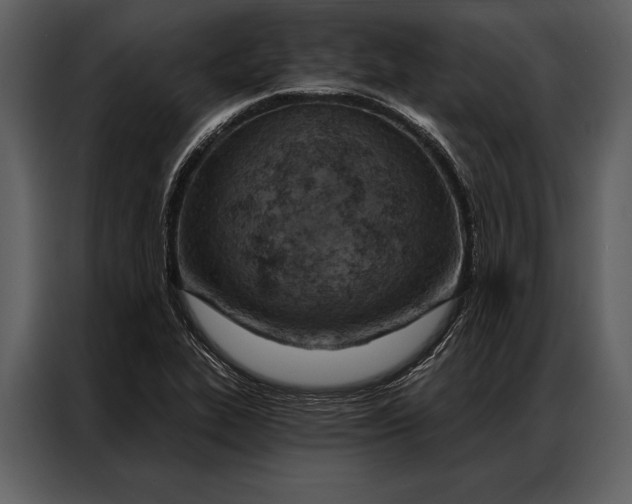 X0000087001319200705071458