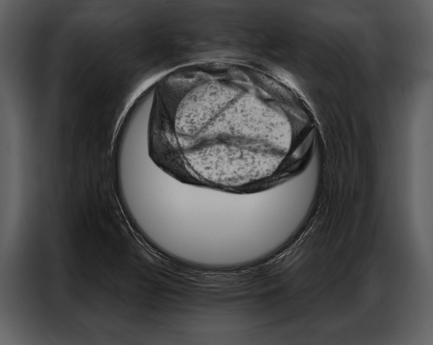 X0000087001320200705071458