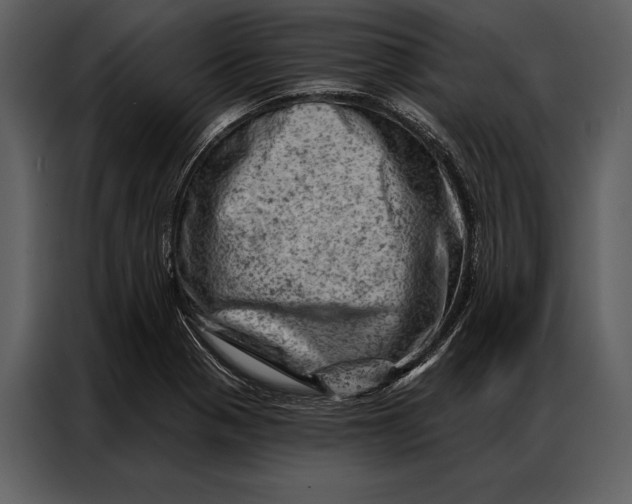 X0000087001321200705071458