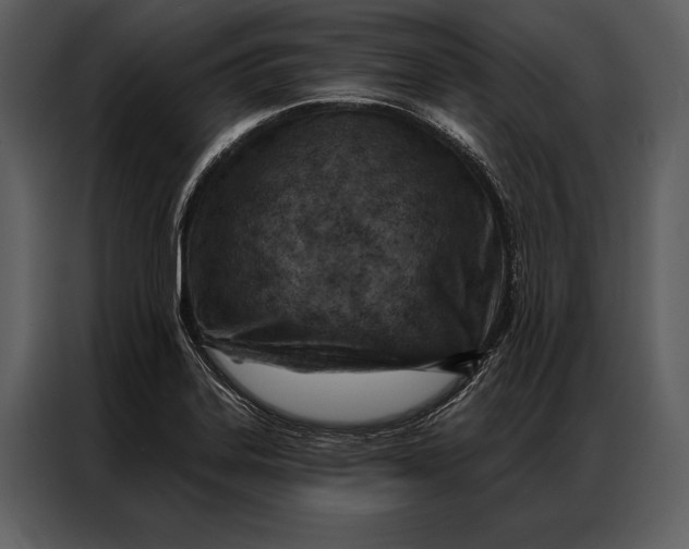 X0000087001323200705071458