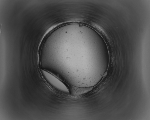 X0000087001324200705071458