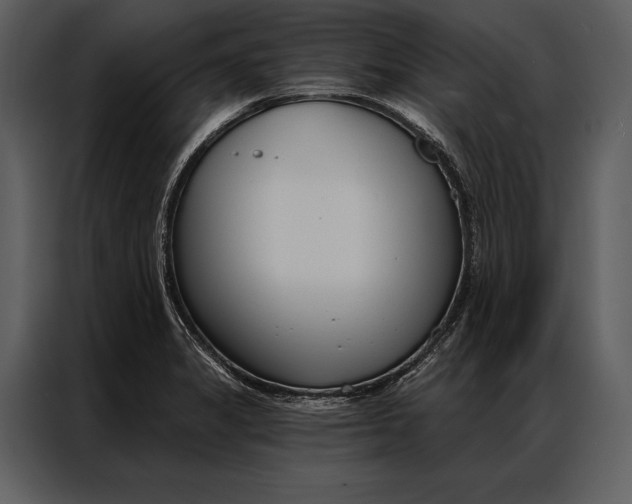 X0000087001325200705071458