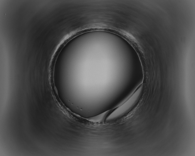 X0000087001326200705071458