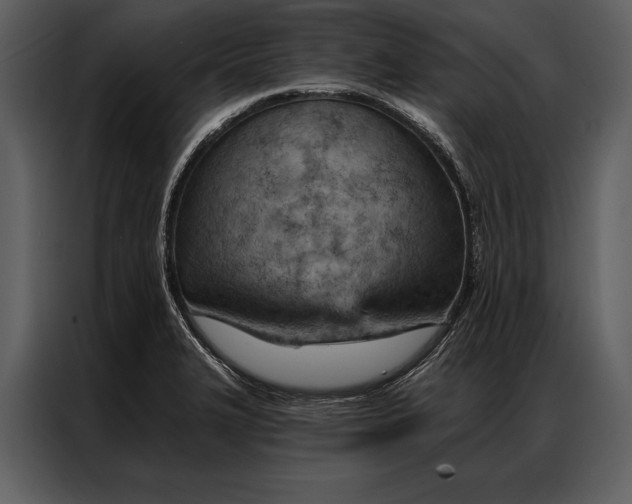 X0000087001327200705071458