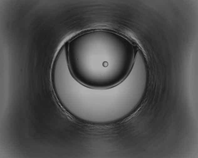 X0000087001328200705071458