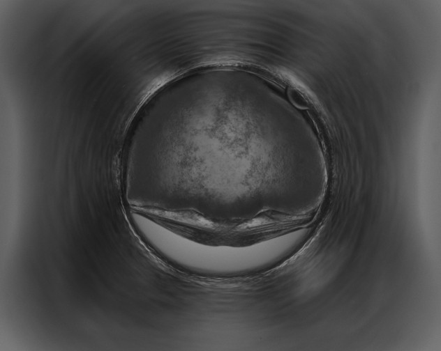 X0000087001329200705071458