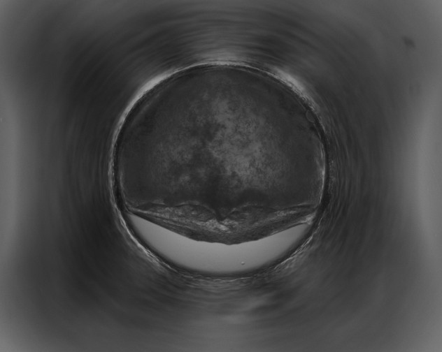 X0000087001331200705071458