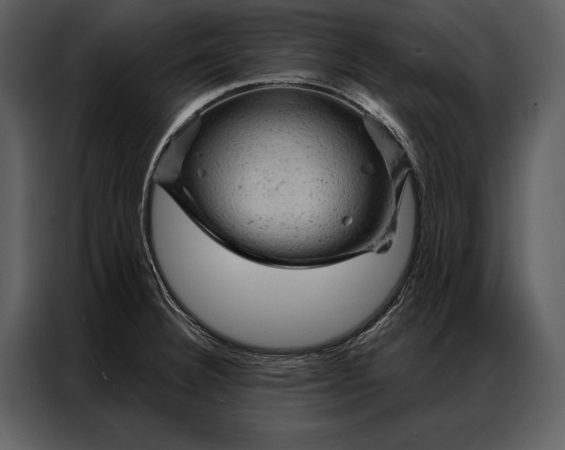 X0000087001332200705071458