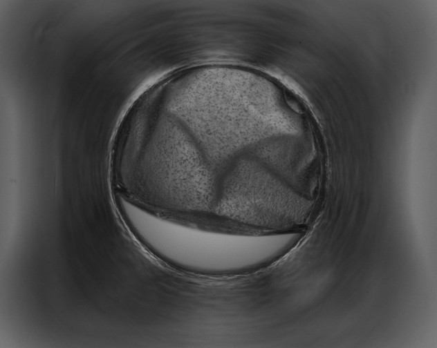 X0000087001333200705071458