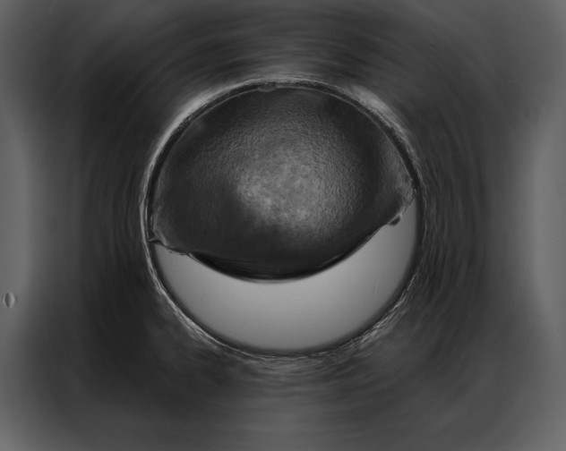 X0000087001334200705071458