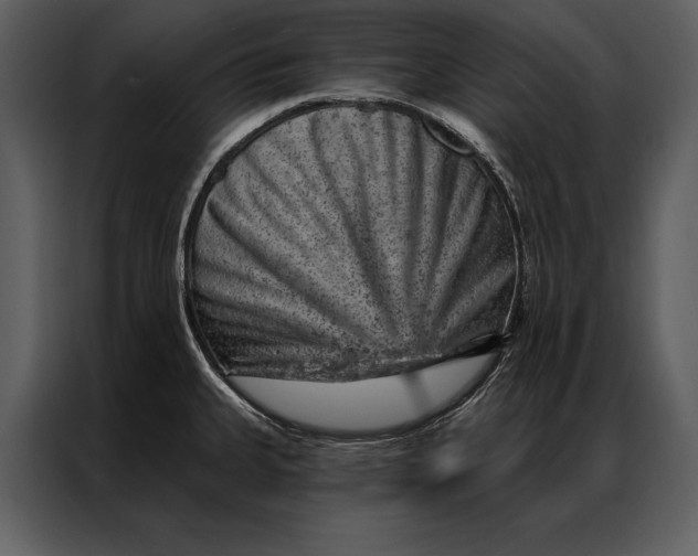 X0000087001335200705071458