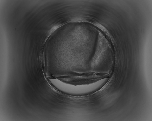 X0000087001337200705071458