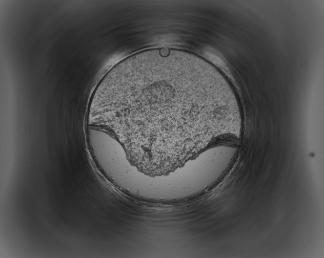 X0000087001338200705071458