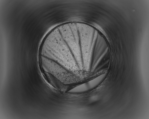 X0000087001339200705071458