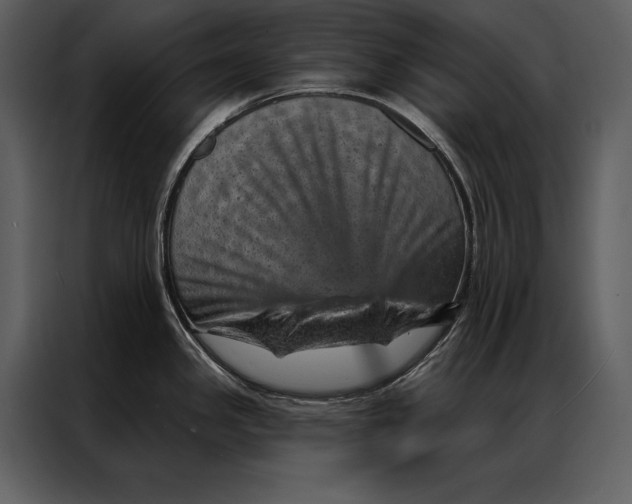 X0000087001341200705071458