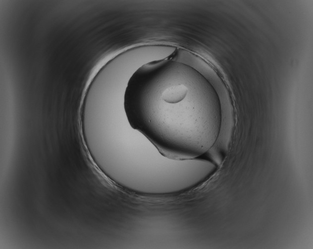 X0000087001344200705071458