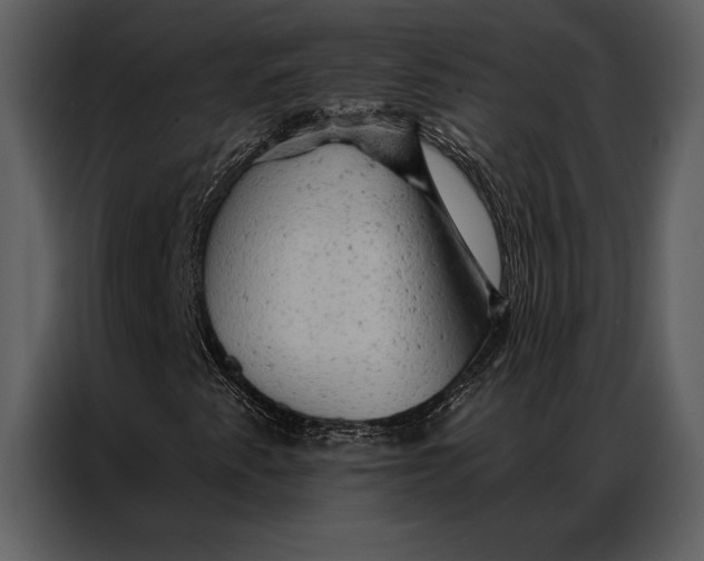 X0000087001345200705071458