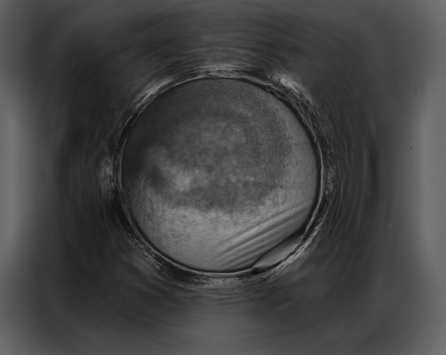 X0000087001353200705071458