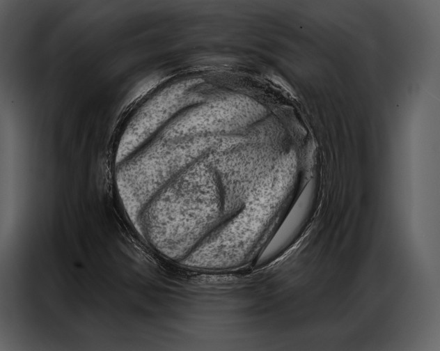 X0000087001354200705071458