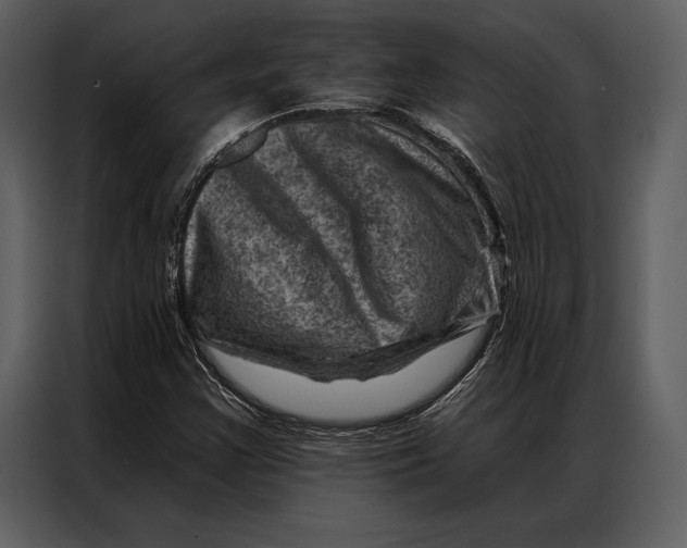 X0000087001355200705071458