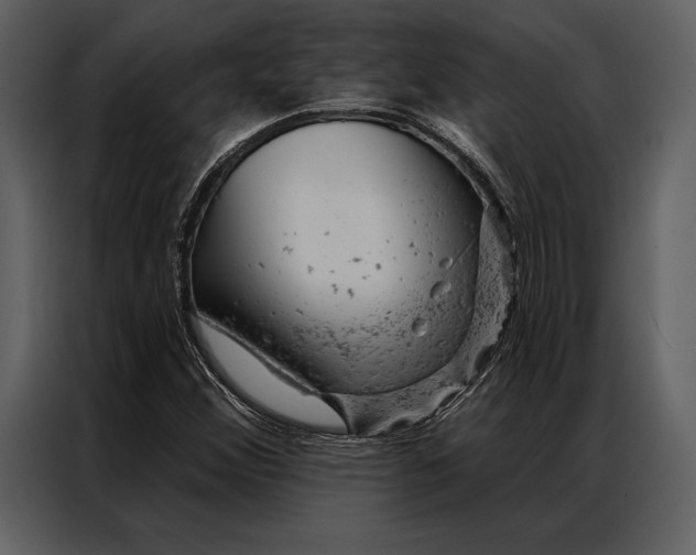 X0000087001356200705071458