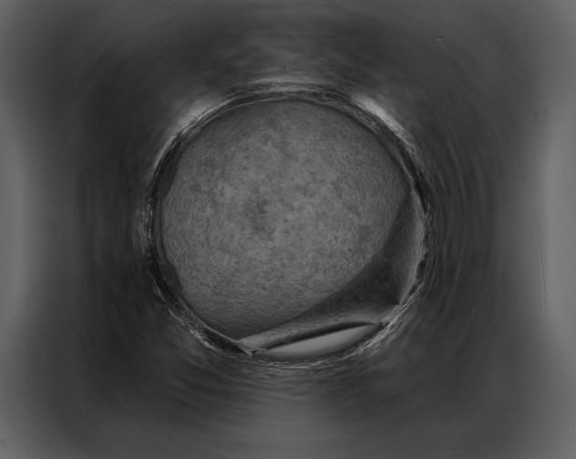 X0000087001357200705071458