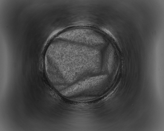 X0000087001358200705071458