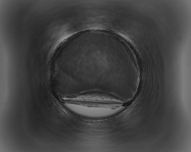 X0000087001359200705071458