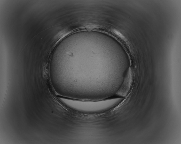 X0000087001361200705071457