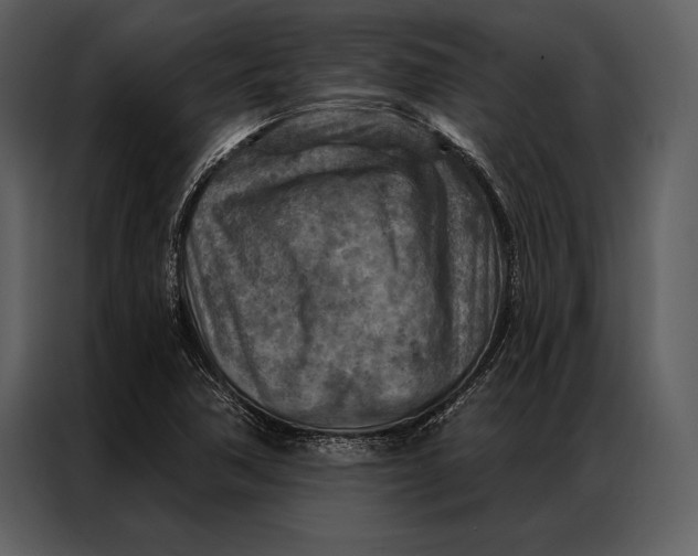 X0000087001362200705071457