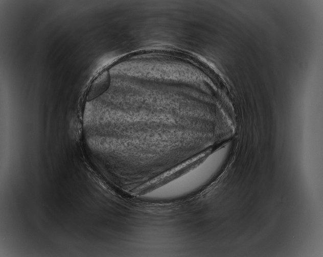 X0000087001363200705071457