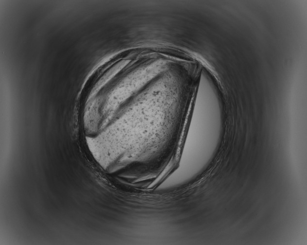 X0000087001364200705071457