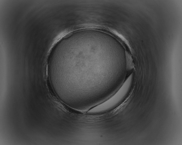 X0000087001365200705071457