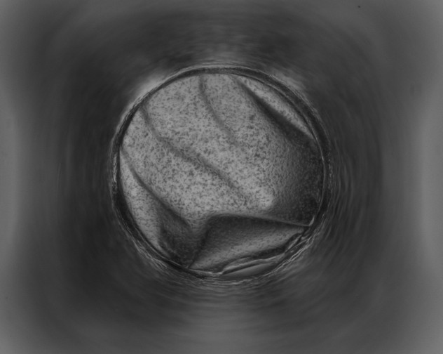 X0000087001366200705071457