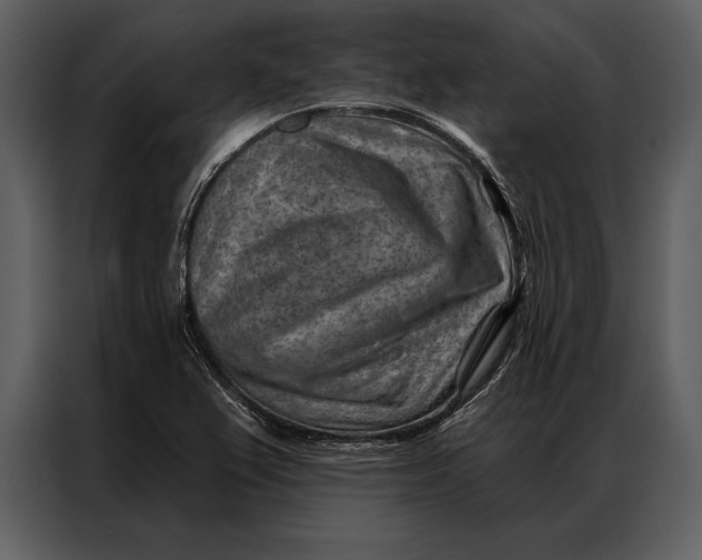 X0000087001367200705071457