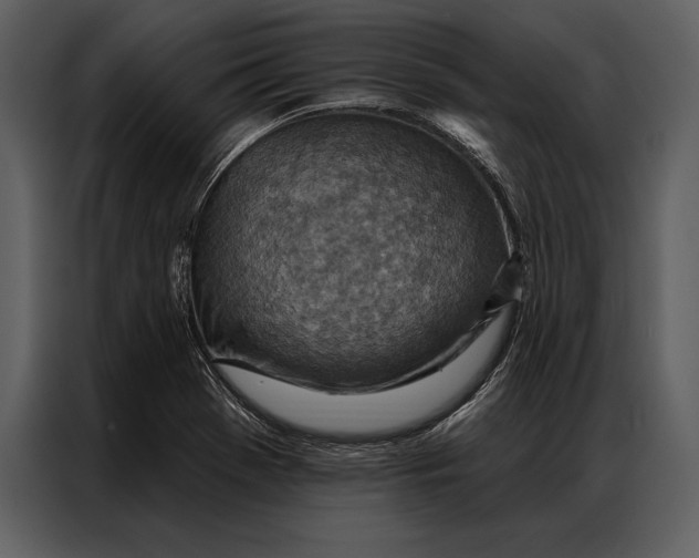 X0000087001369200705071457