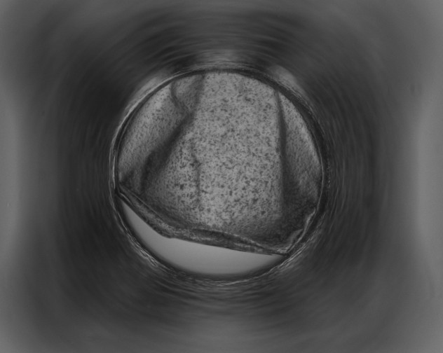 X0000087001370200705071457