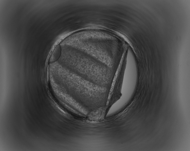 X0000087001371200705071457