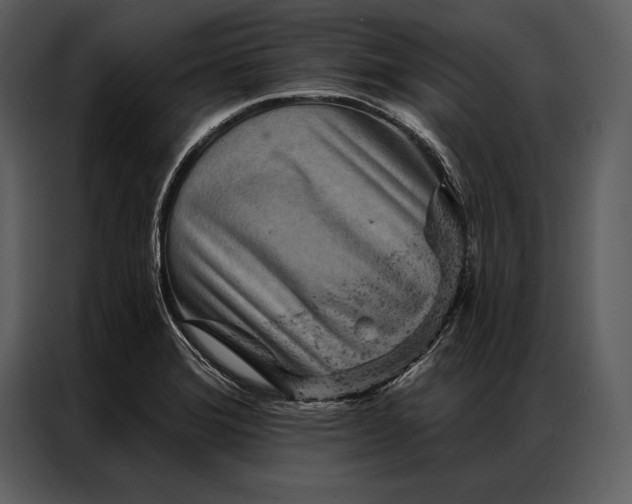 X0000087001372200705071457