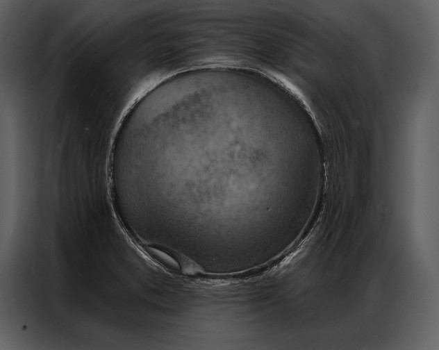 X0000087001373200705071457