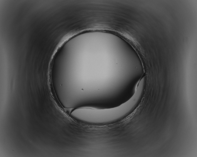 X0000087001374200705071457