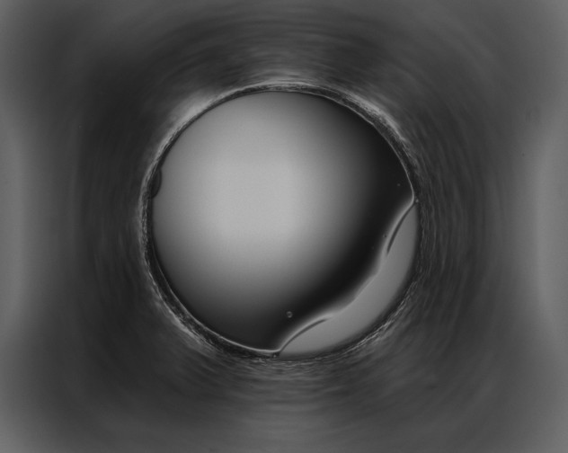 X0000087001375200705071457