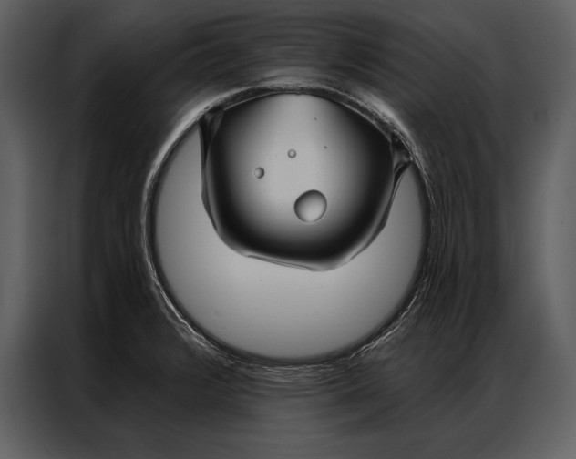 X0000087001376200705071457