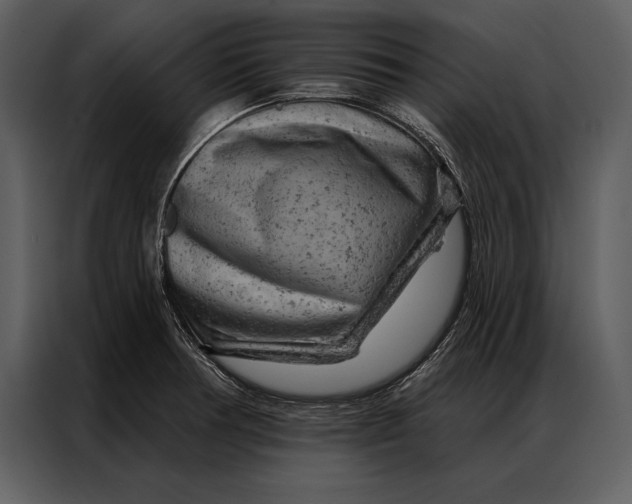 X0000087001378200705071457